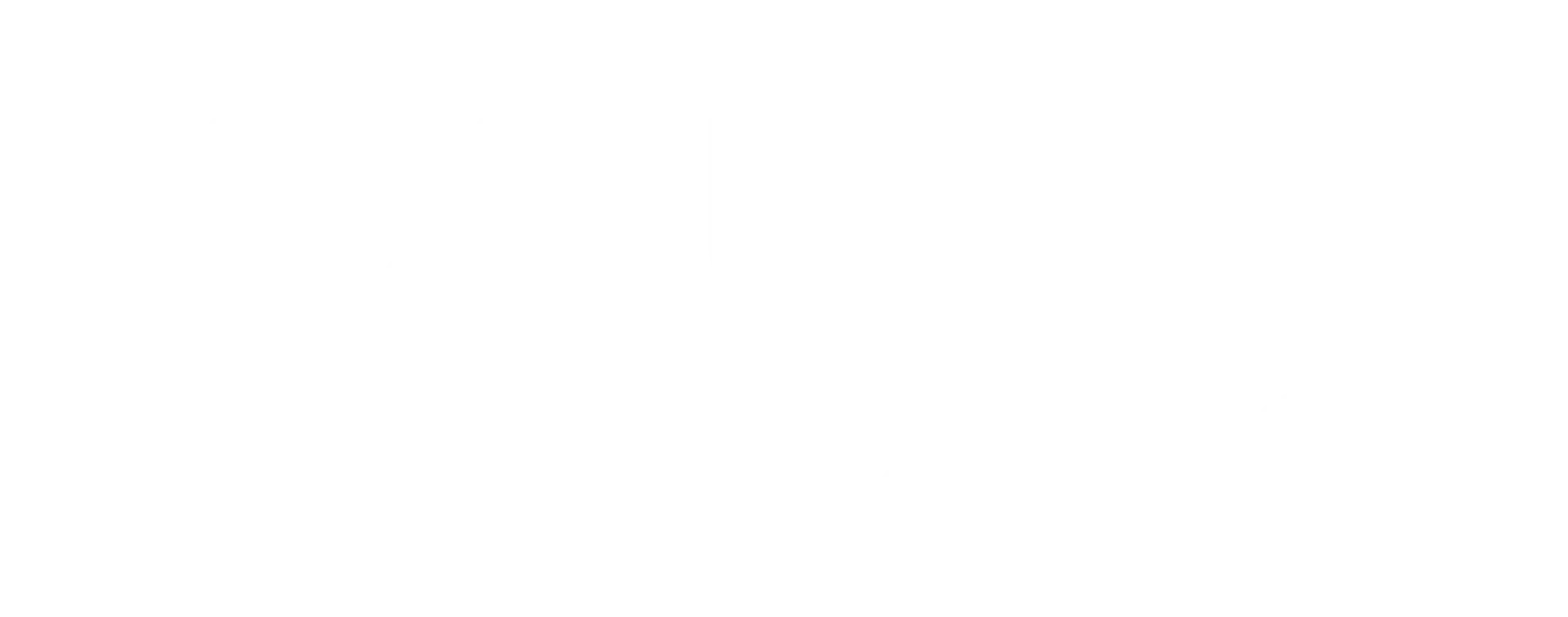 LX Launch